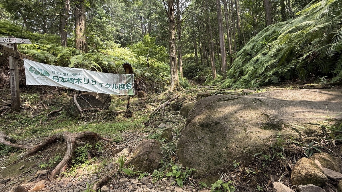 世界文化遺産「熊野古道」と日本三大人工美林「尾鷲ヒノキ」を散策しました（令和7年7月8日）