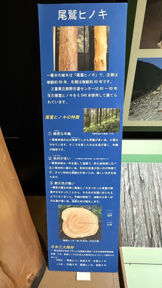 世界文化遺産「熊野古道」と日本三大人工美林「尾鷲ヒノキ」を散策しました（令和7年7月8日）