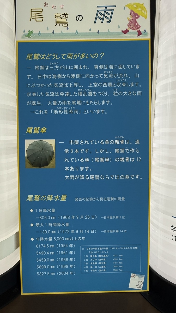 世界文化遺産「熊野古道」と日本三大人工美林「尾鷲ヒノキ」を散策しました（令和7年7月8日）