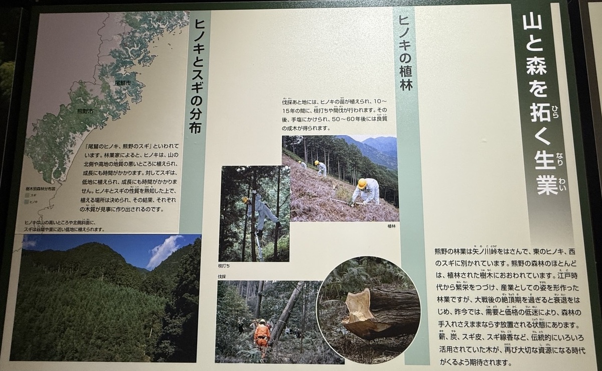 世界文化遺産「熊野古道」と日本三大人工美林「尾鷲ヒノキ」を散策しました（令和7年7月8日）