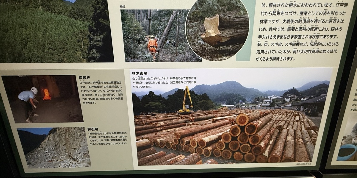 世界文化遺産「熊野古道」と日本三大人工美林「尾鷲ヒノキ」を散策しました（令和7年7月8日）