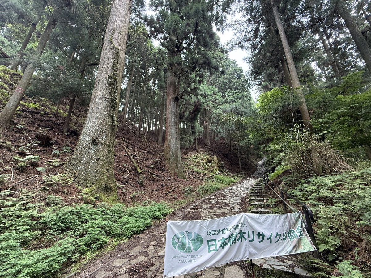 「貯木場(ちょぼくじょう)がある吉野林業」と日本三大人工美林「吉野スギ」を散策しました(令和7年7月9日)
