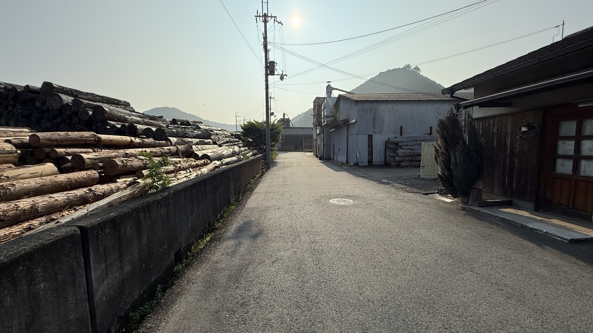 「貯木場(ちょぼくじょう)がある吉野林業」と日本三大人工美林「吉野スギ」を散策しました(令和7年7月9日)