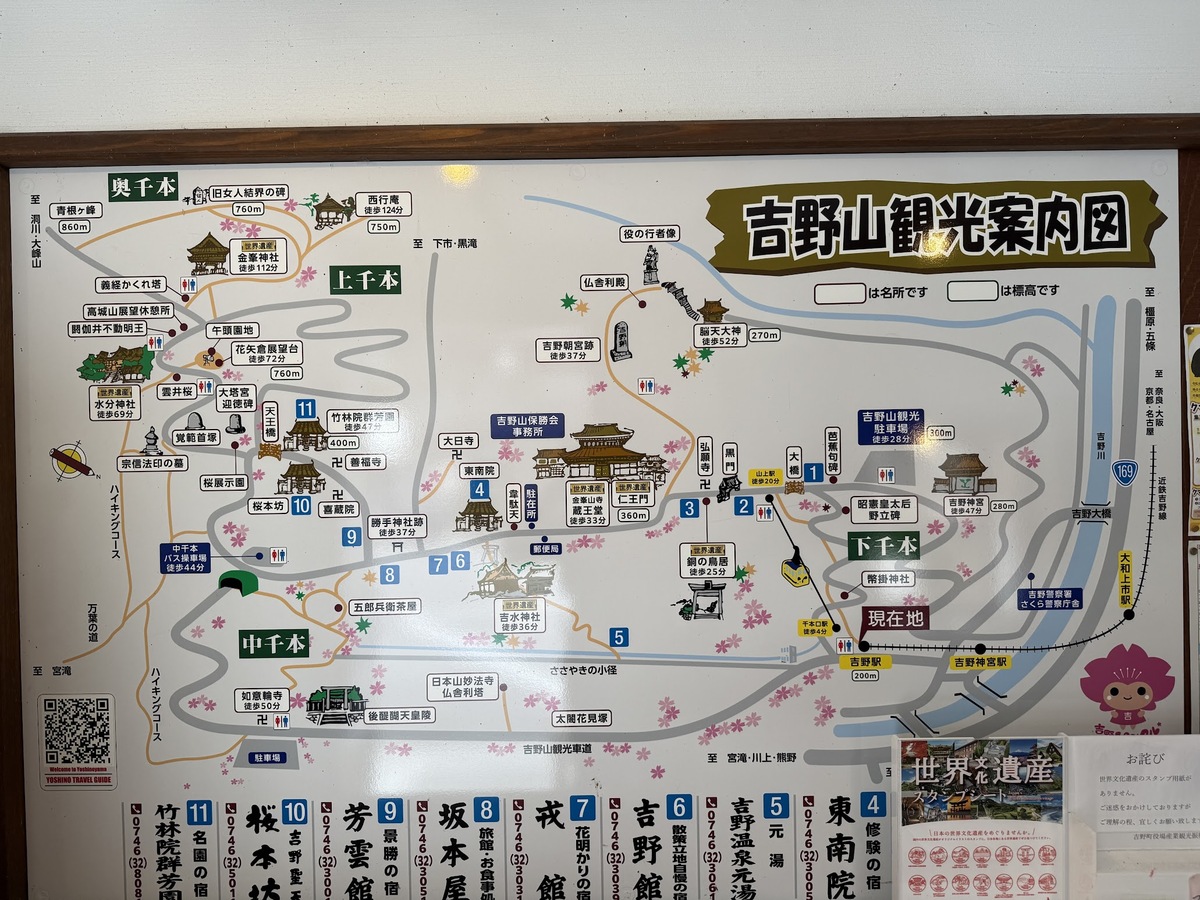 「貯木場(ちょぼくじょう)がある吉野林業」と日本三大人工美林「吉野スギ」を散策しました(令和7年7月9日)