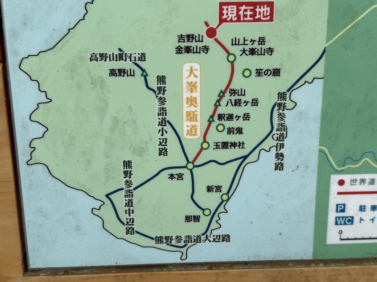 「貯木場(ちょぼくじょう)がある吉野林業」と日本三大人工美林「吉野スギ」を散策しました(令和7年7月9日)