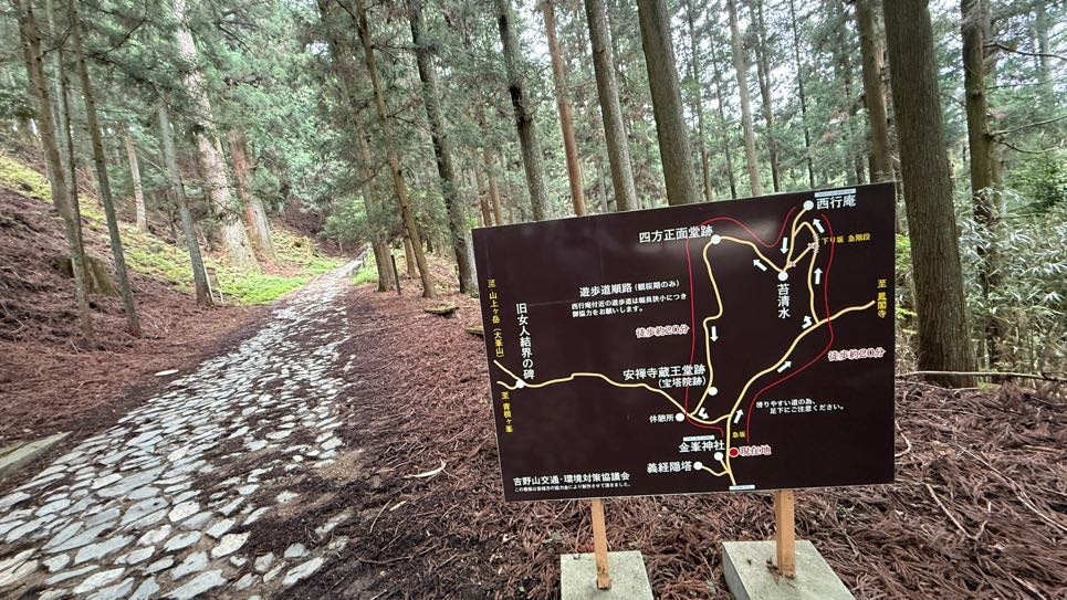「貯木場(ちょぼくじょう)がある吉野林業」と日本三大人工美林「吉野スギ」を散策しました(令和7年7月9日)