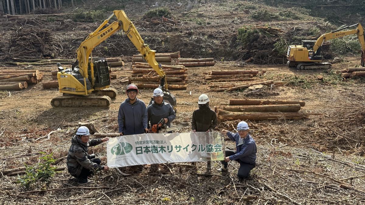 林業従事者による山林の伐出（ばっしゅつ）作業を見学しました。