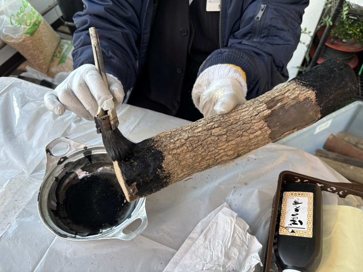 恵方薪販売開始いたしました！！